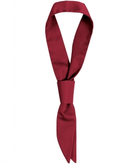 Servisní kravatka - bordó