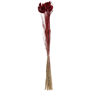 Sušené květiny Afnan, 60 cm - tm. červená