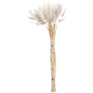 Sušené květiny Ajda, 40 cm - bílá