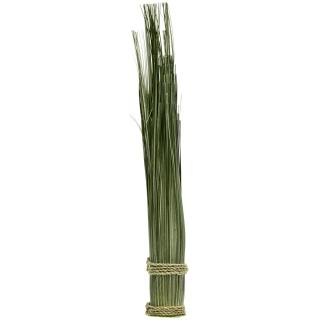 Svazek trávy Aleyna, 6x50 cm - zelená
