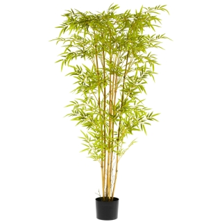 Bambus Abir, 170 cm - zelená/hnědá/černá