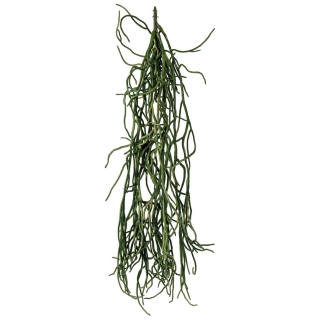Závěsná rostlina Fiza, 50 cm - zelená