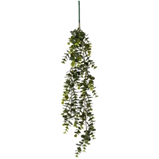 Závěsná rostlina Hafsa, 60 cm