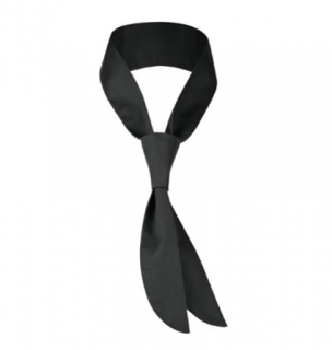 Bistro kravata Terry - černá